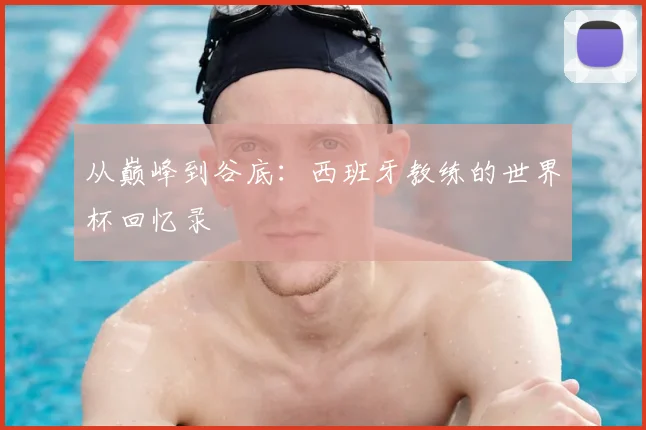 从巅峰到谷底：西班牙教练的世界杯回忆录