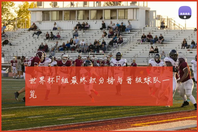世界杯F组最终积分榜与晋级球队一览