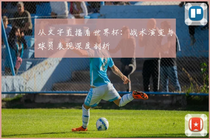从文字直播看世界杯：战术演变与球员表现深度剖析